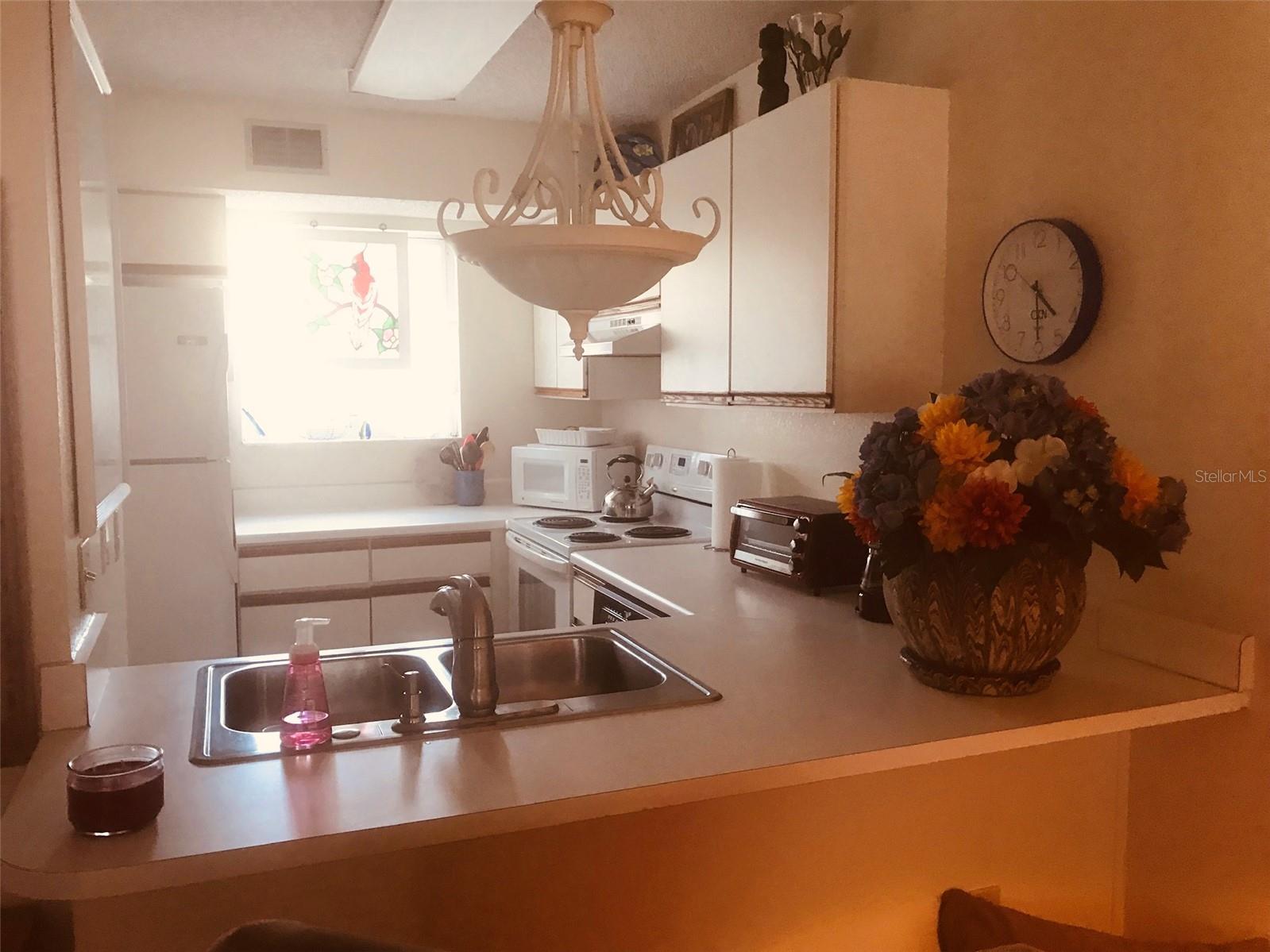 217 Ocean Park Ln #v49 Property Photo 6