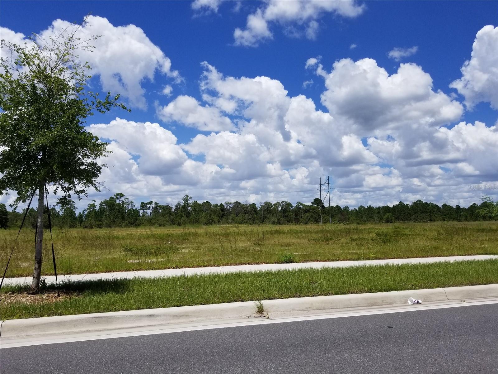 S APOPKA VINELAND RD Property Photo 1