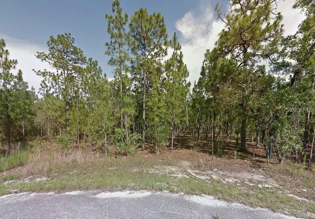 Silver Springs #25 Property Photo 1