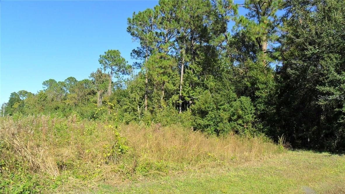 9049 Fryland Rd Property Photo 8
