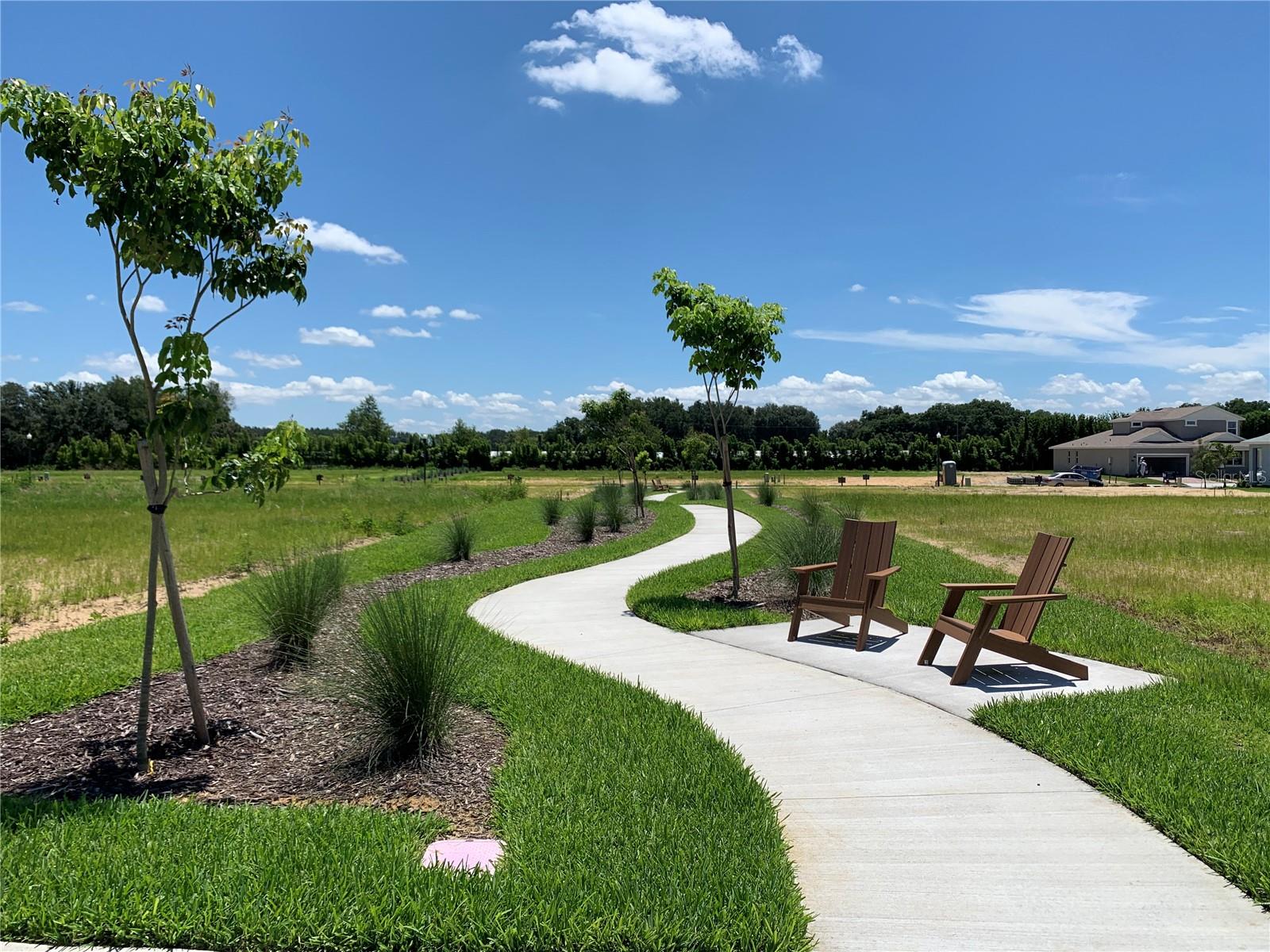 2674 Fiddle Leaf Loop Property Photo 5
