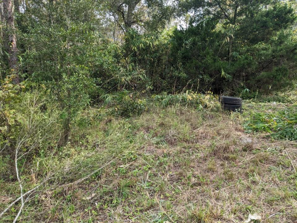 12730 Eola Ave Property Photo 3