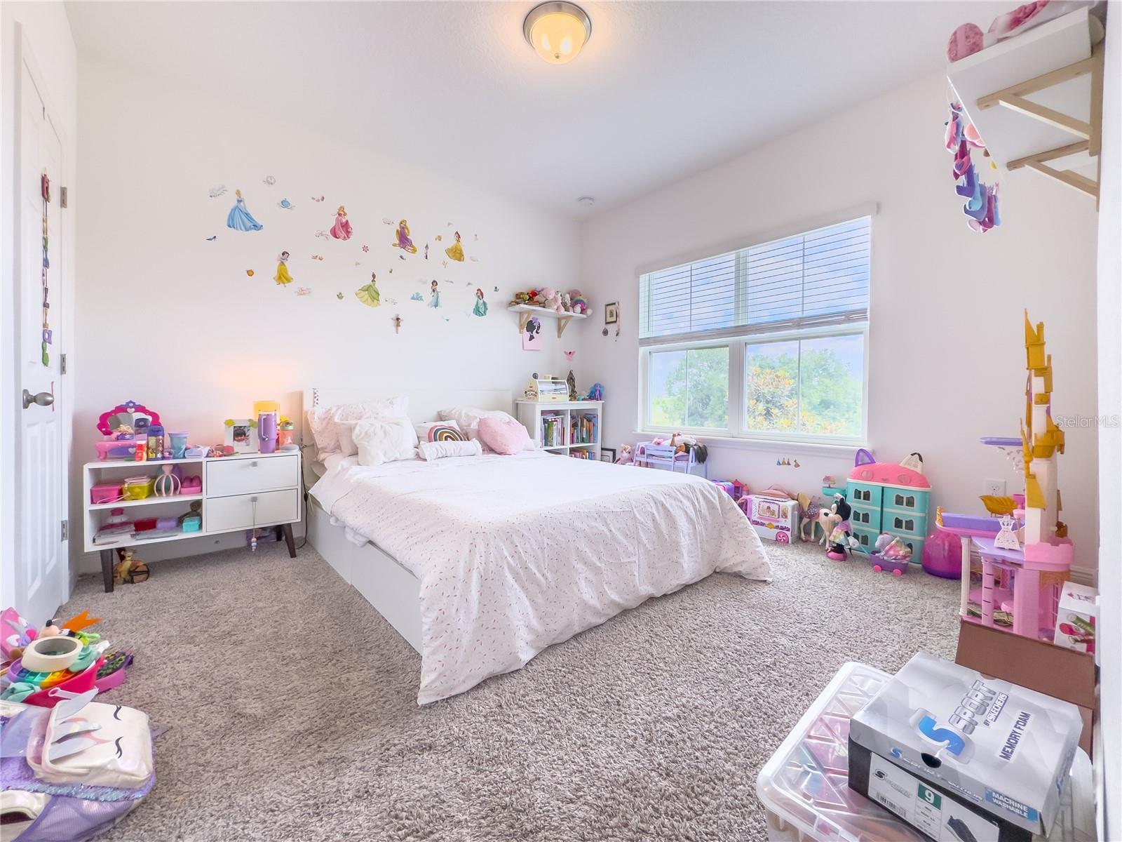 14971 Apollo Bond Dr Property Photo 19
