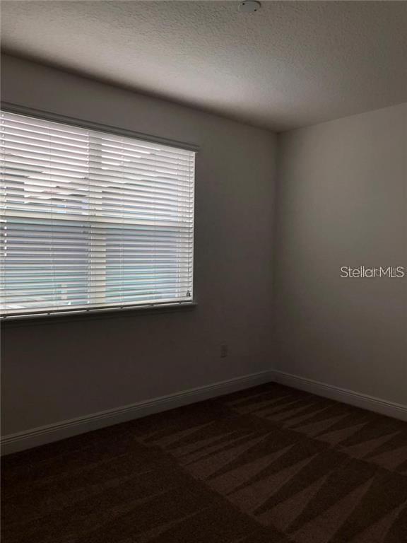 15807 Sweet Lemon Way Property Photo 9
