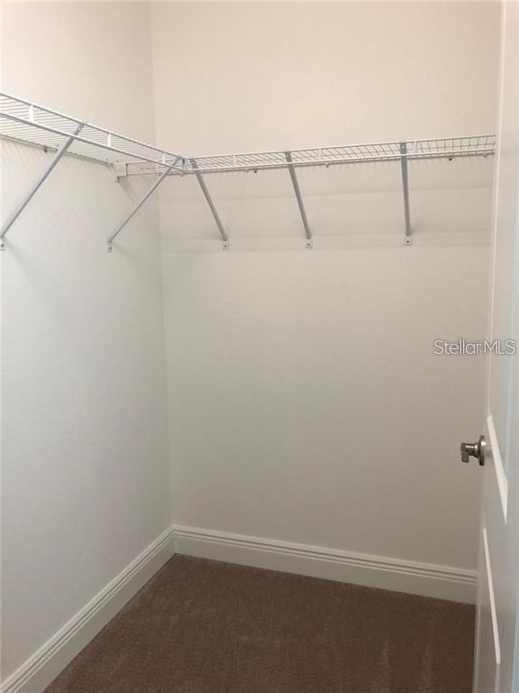 15807 Sweet Lemon Way Property Photo 10