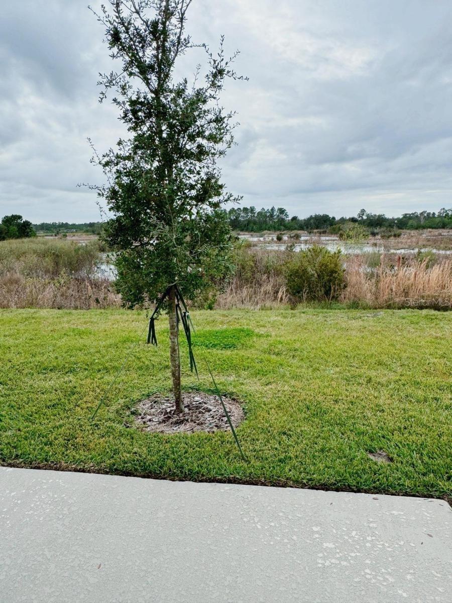 1838 Sanibel Dr Property Photo 9