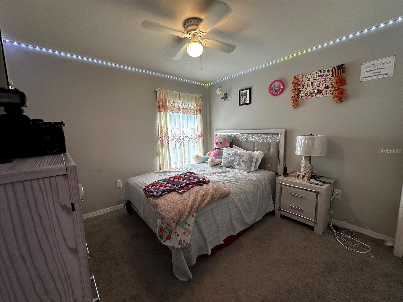 3882 Willow Ridge Dr Property Photo 37