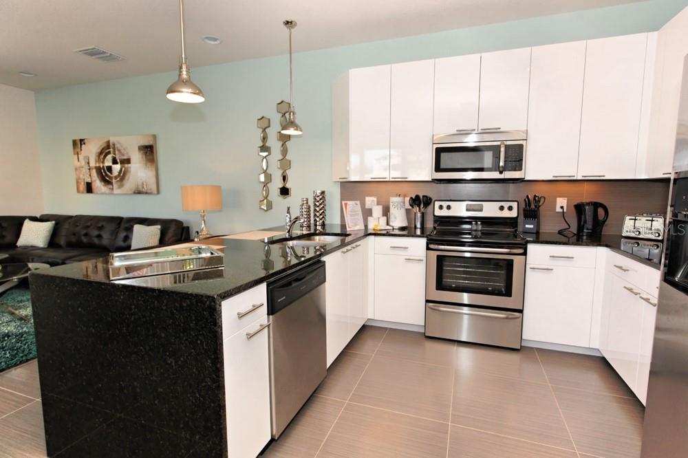17401 Serenidad Blvd Property Photo 8