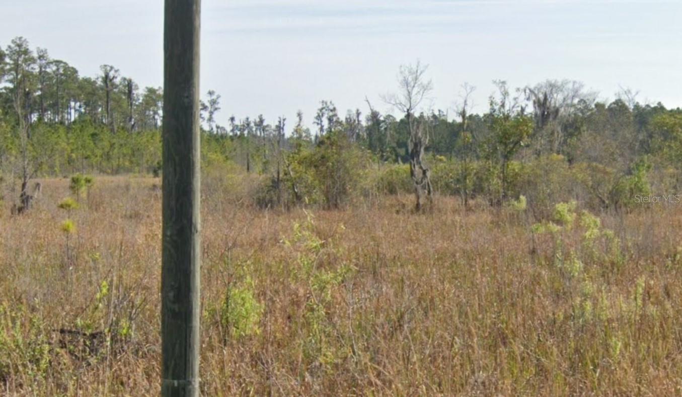 000 Old Grade Rd Property Photo 4