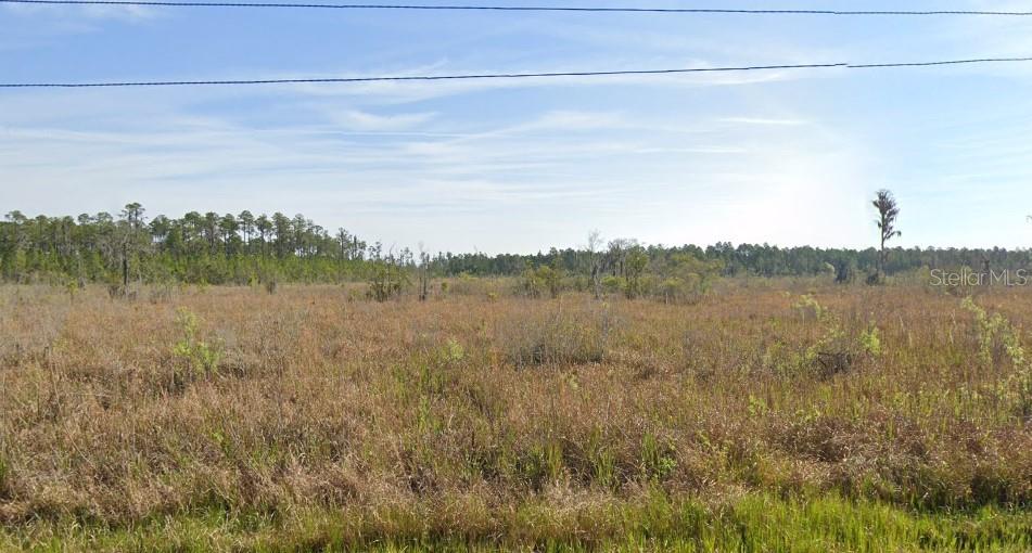 000 Old Grade Rd Property Photo 5