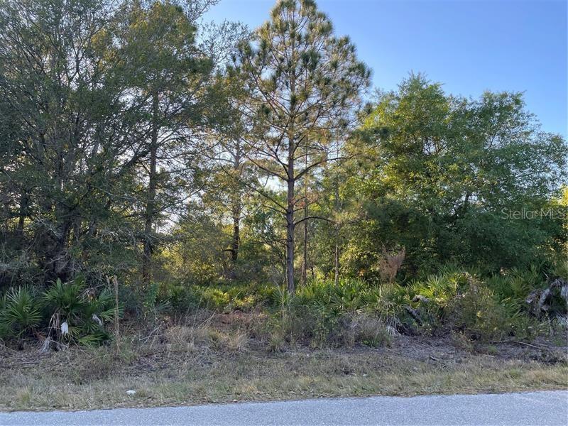 3481 Tiffiny St Property Photo 2