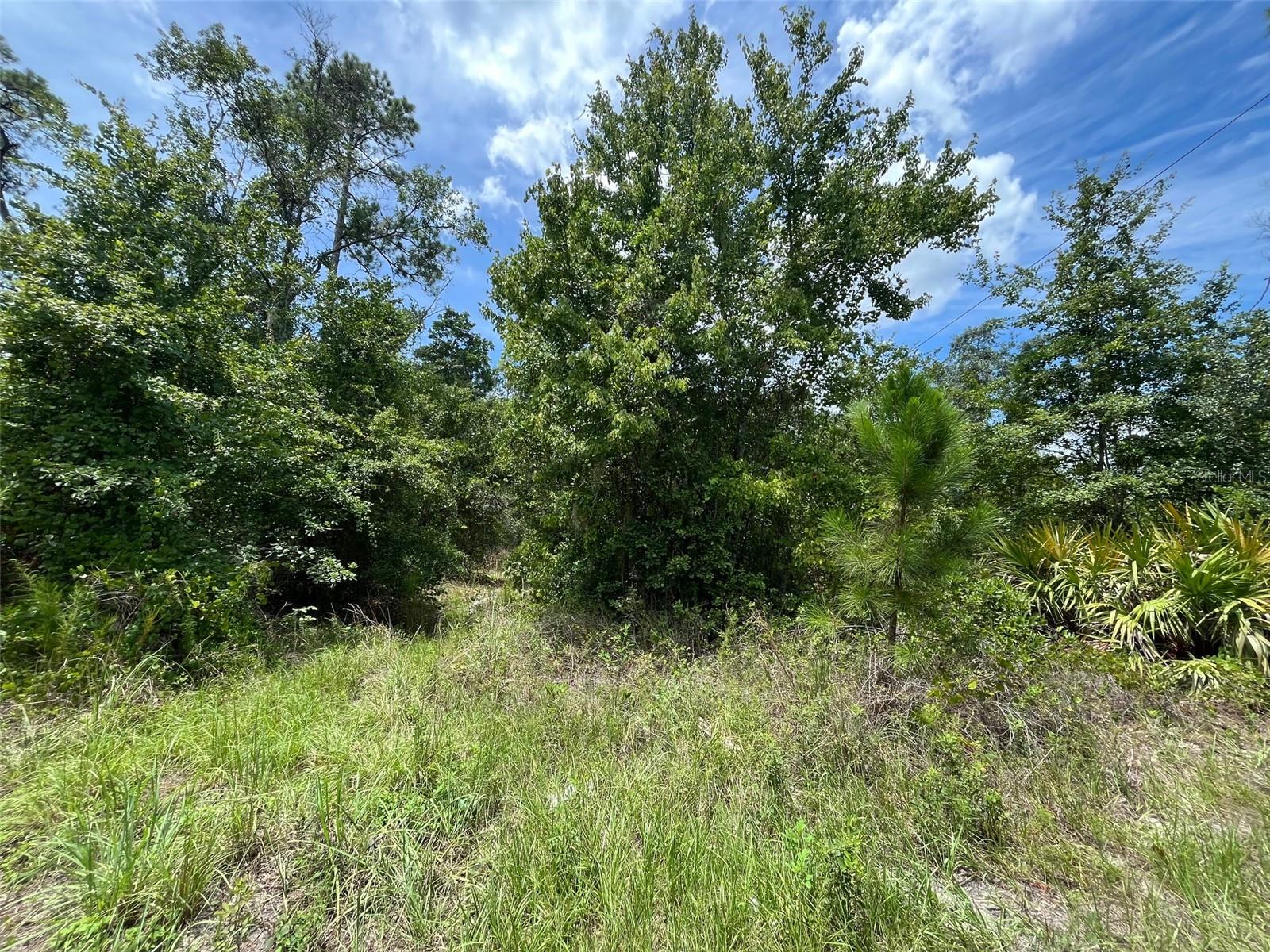 125 CARR PL