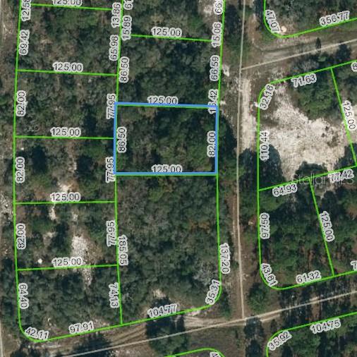 244 Blue Horizon Dr Property Photo
