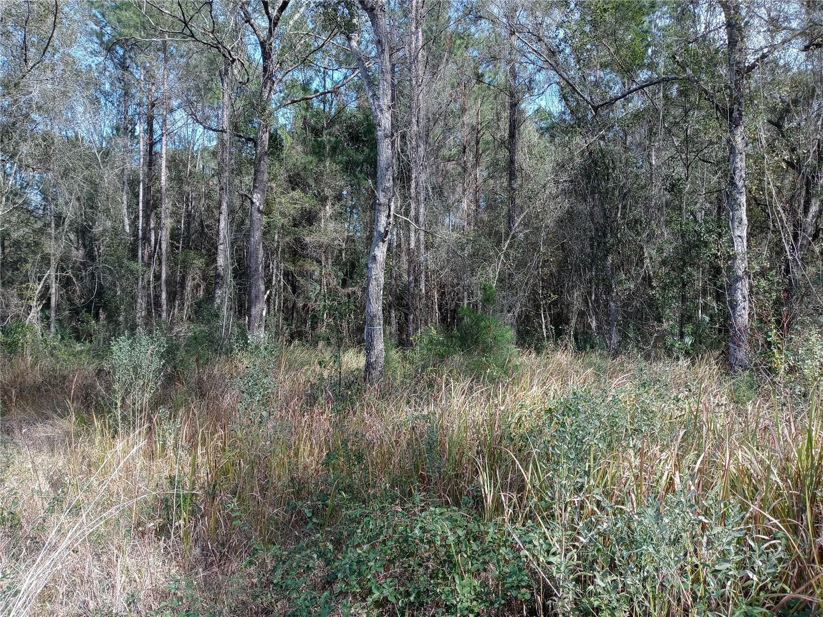 00 E Hwy 316 Property Photo 1
