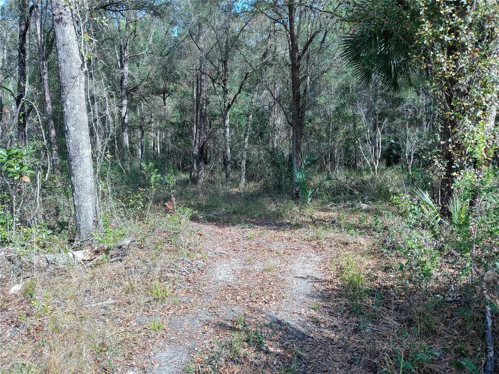 00 E Hwy 316 Property Photo 2