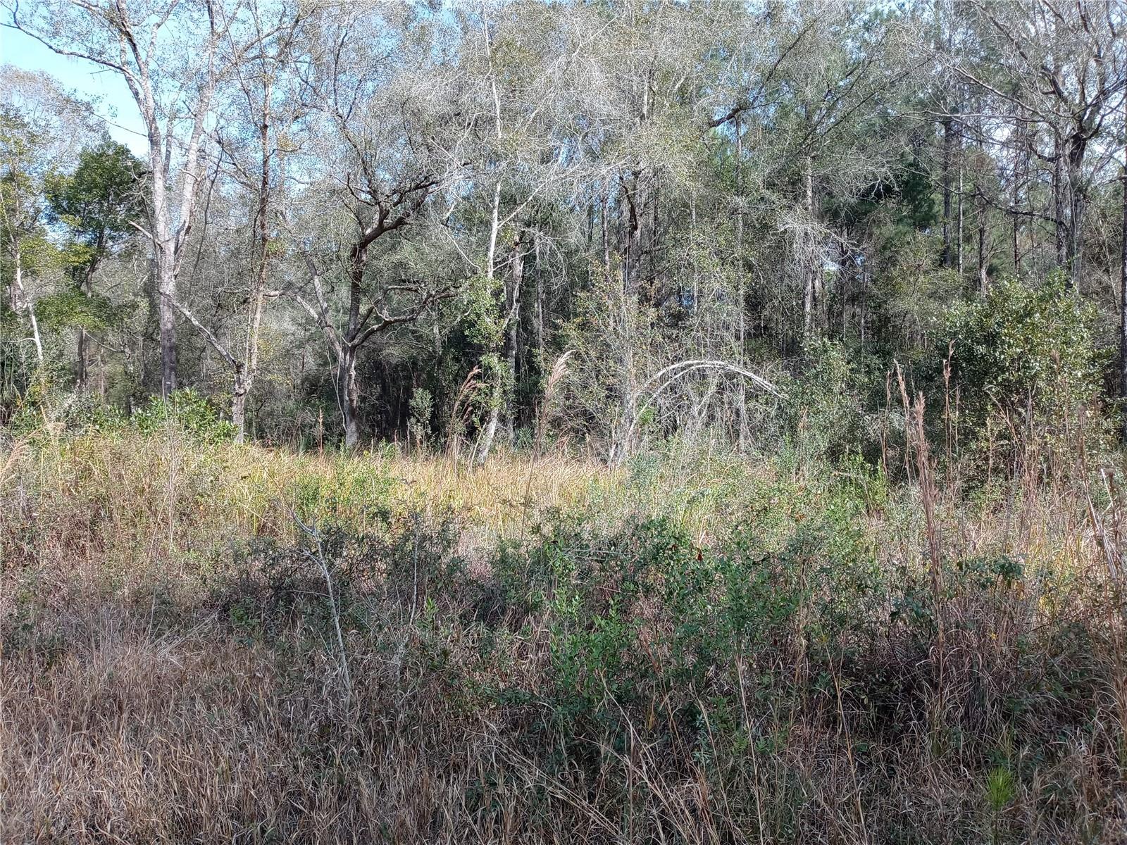 00 E Hwy 316 Property Photo 3