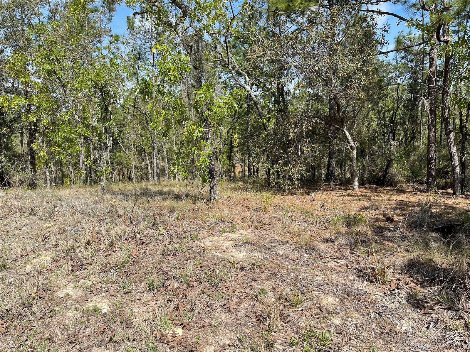 Lot 6 Se 2 St Property Photo 2