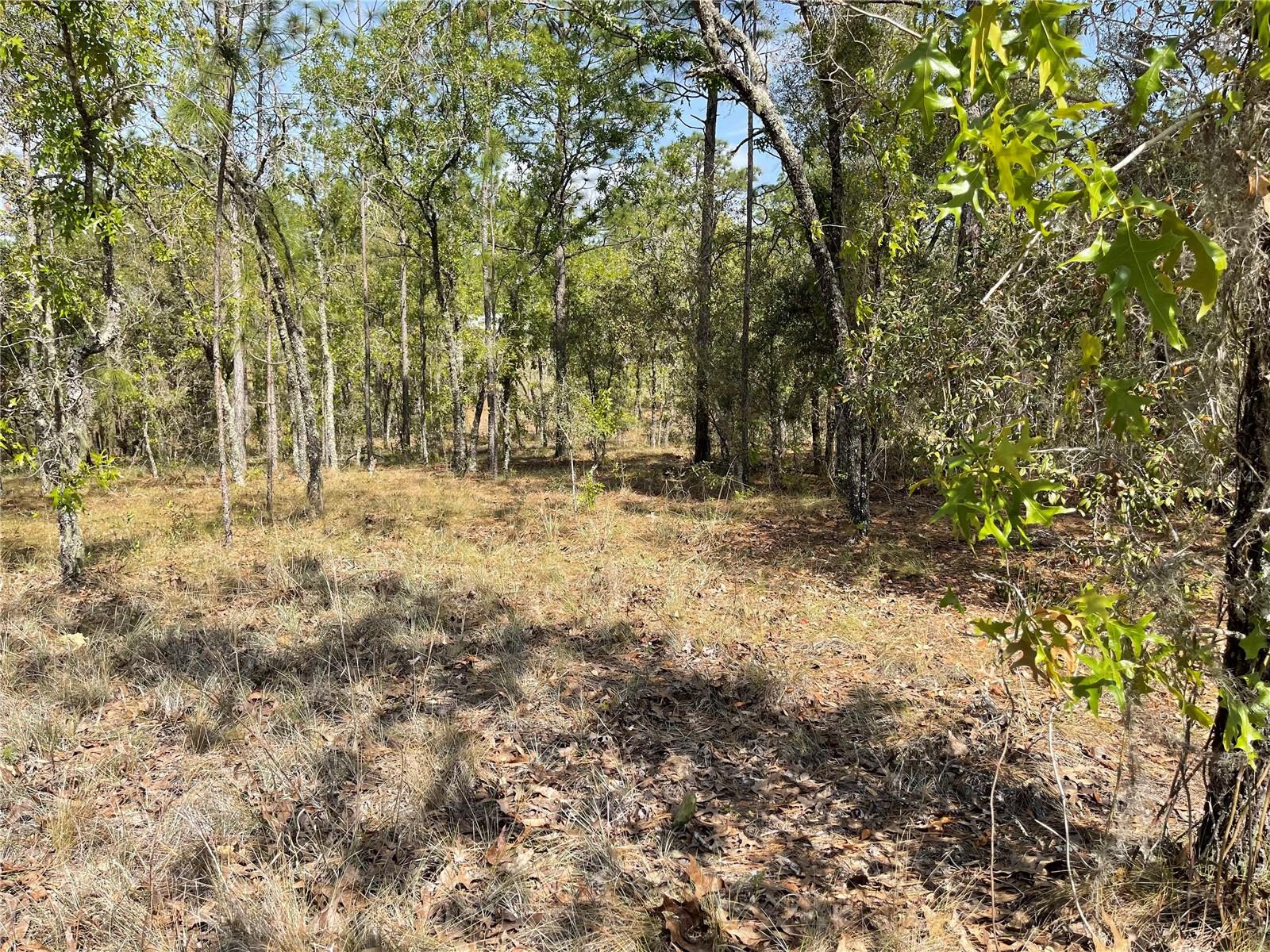 Lot 6 Se 2 St Property Photo 3