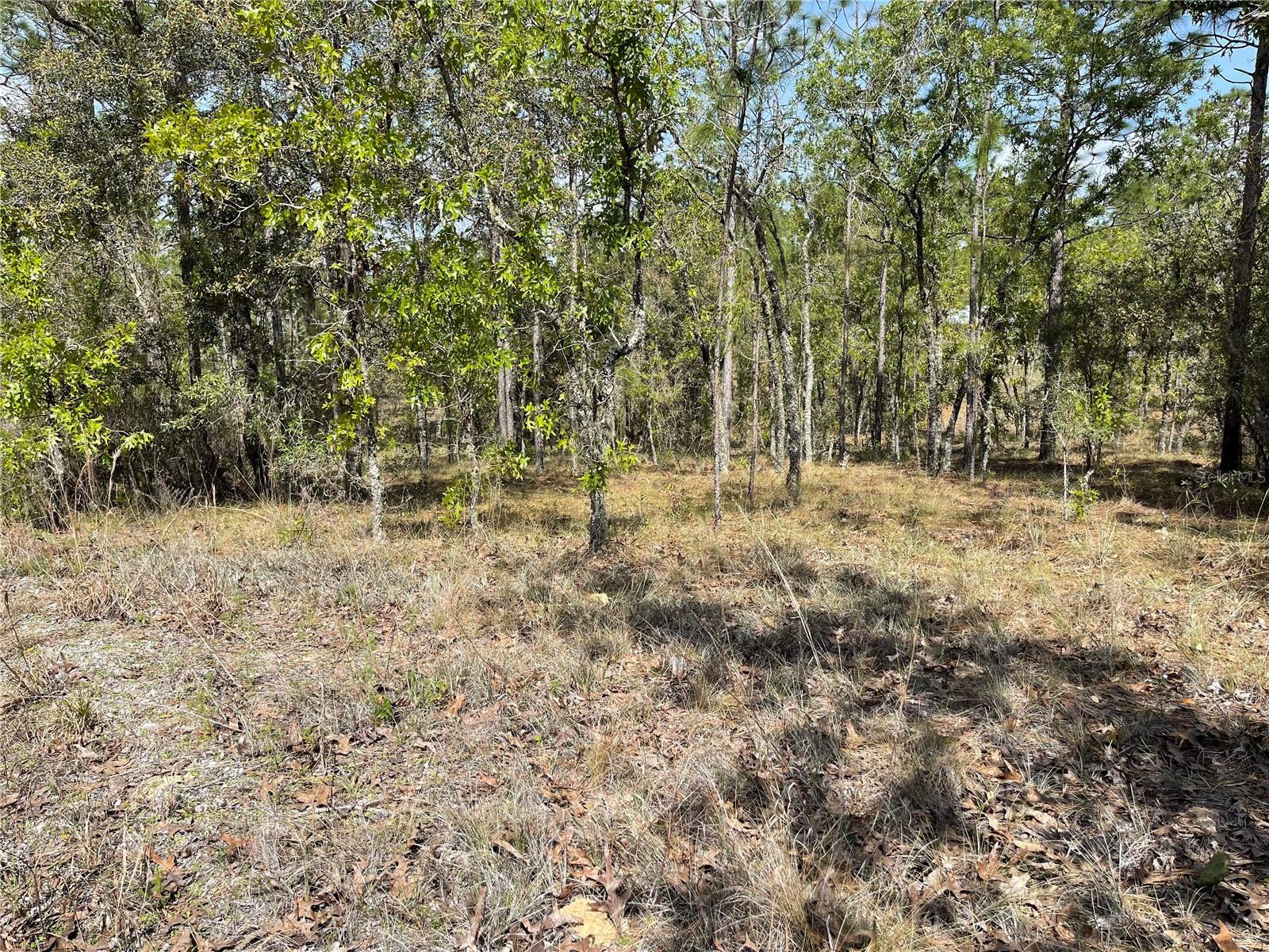 Lot 6 Se 2 St Property Photo 4