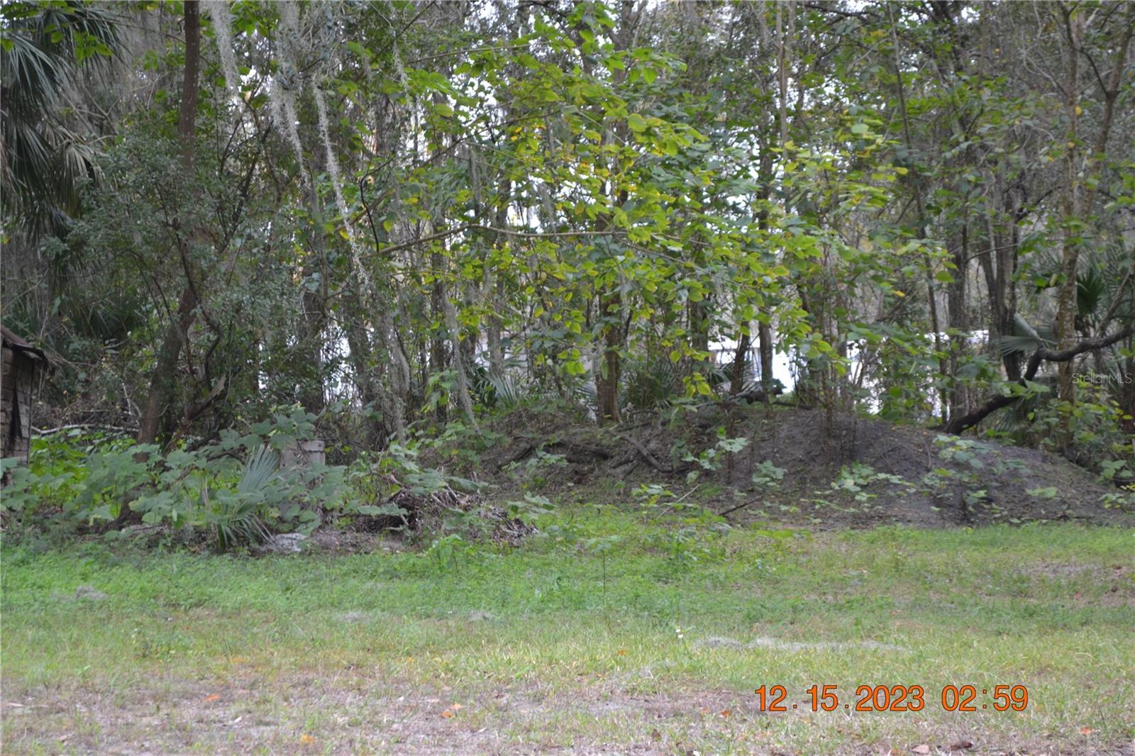16684 And 16690 S Us Highway 301 Property Photo 8