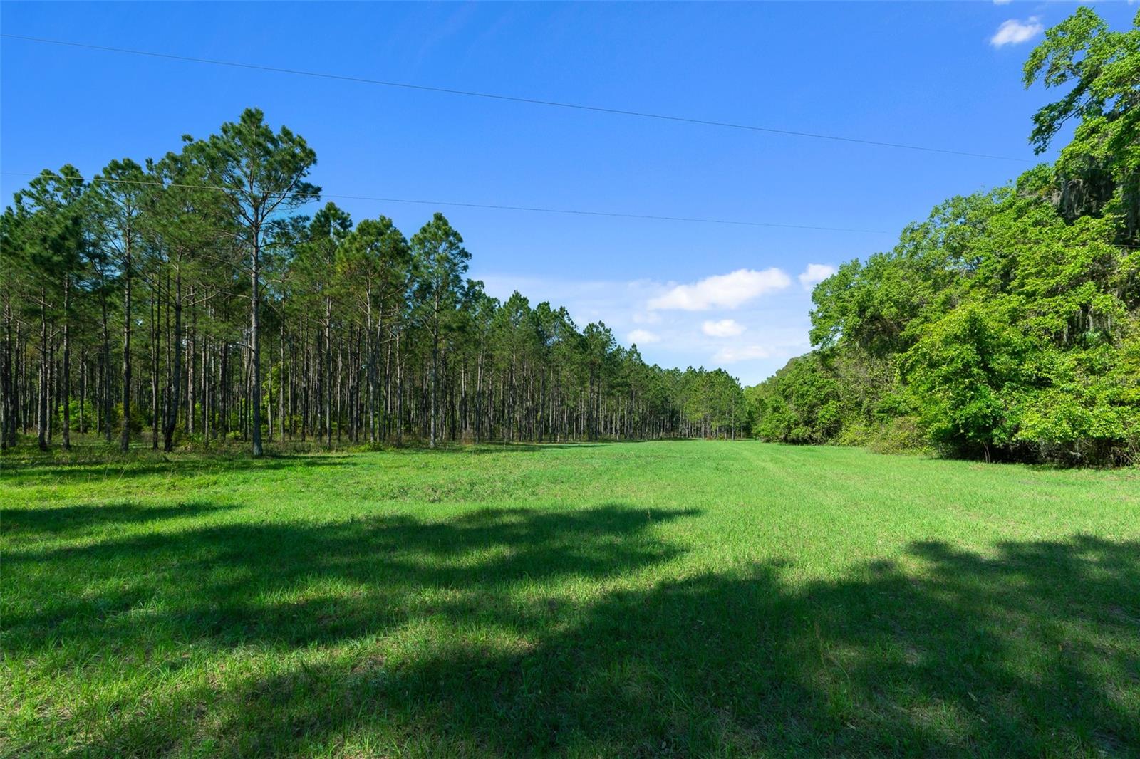 0 County Road 1469 Property Photo