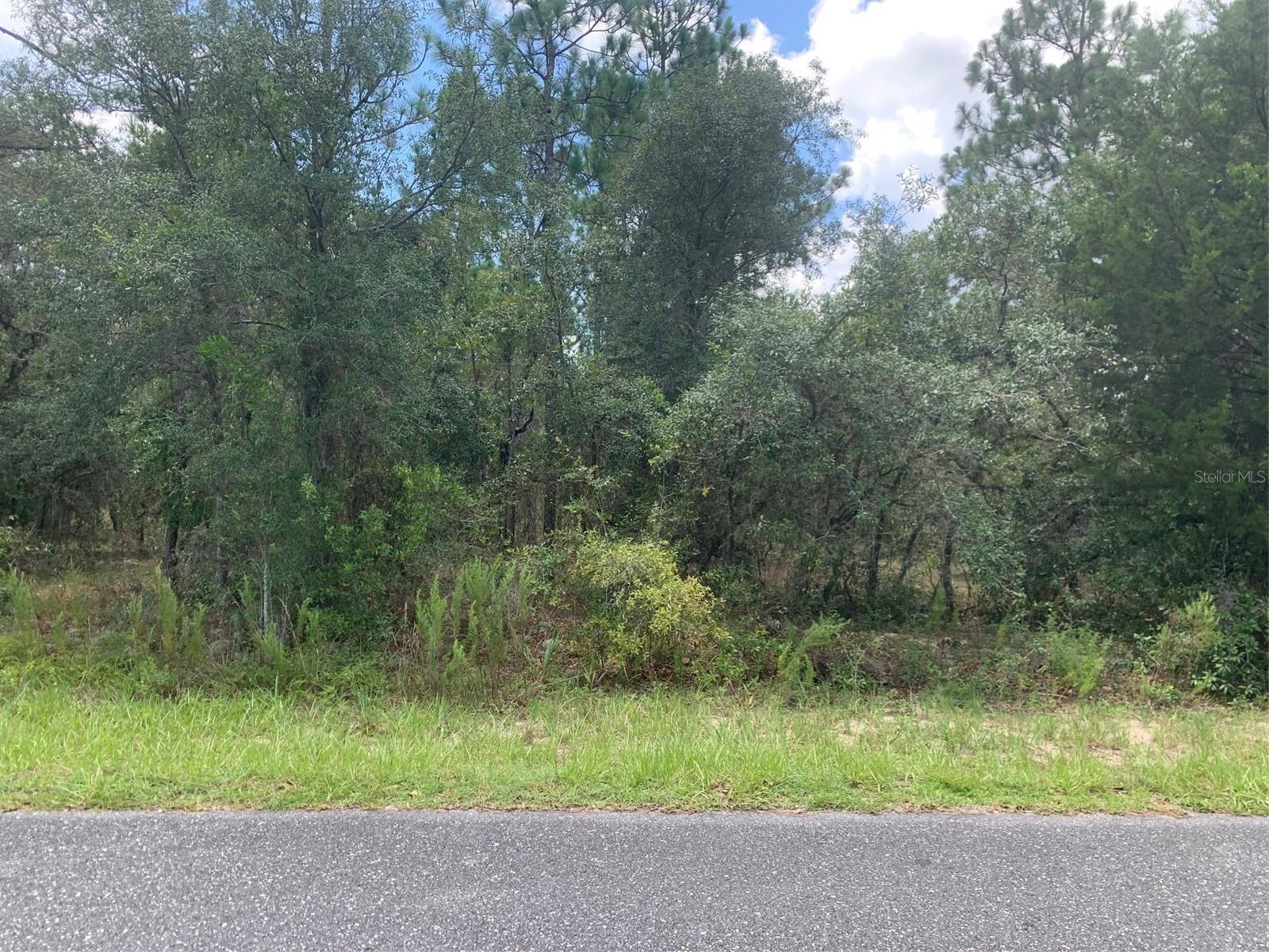 0 Nw Amberjack Ave Property Photo 3