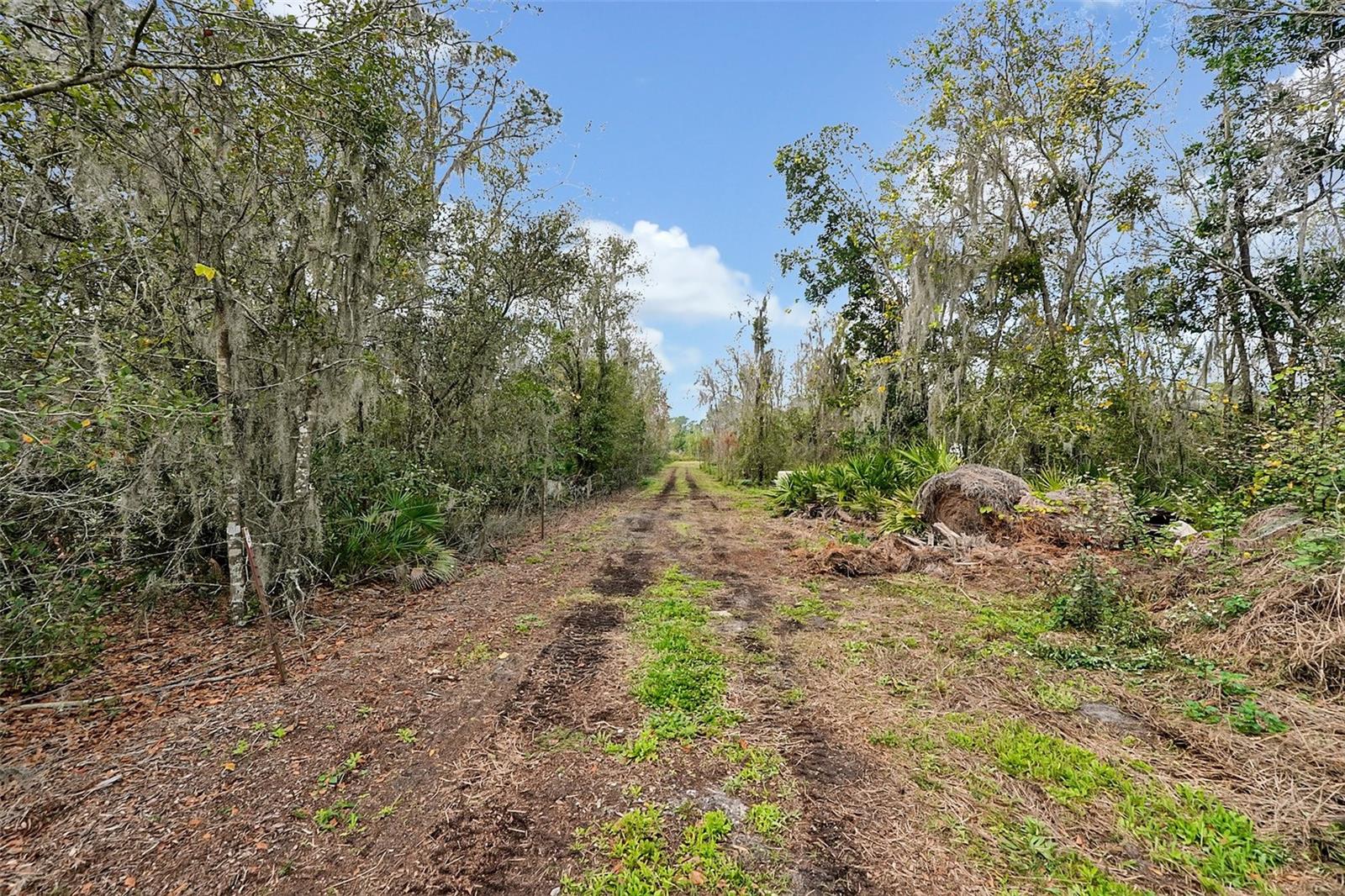3395 Lake Buffum Rd E Property Photo 64