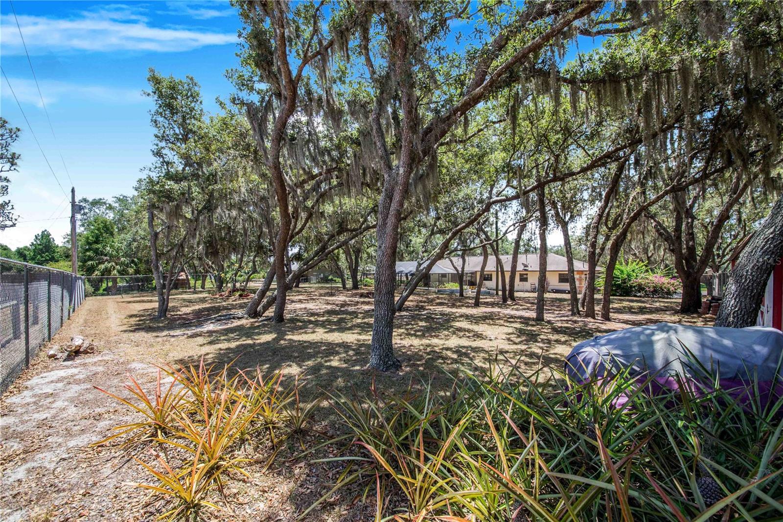 8881 Cypresswood Dr Property Photo 33
