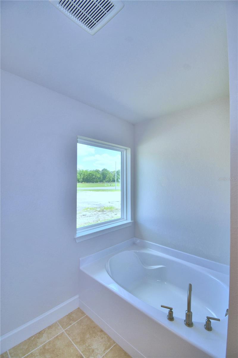 1261 Tagliamento Ln Property Photo 21