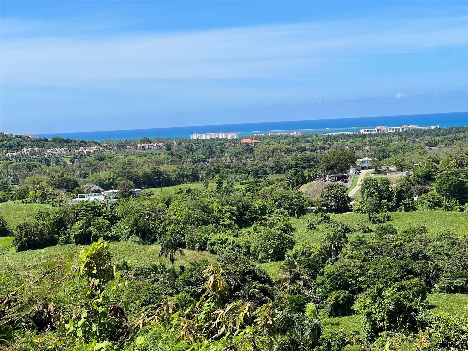 Calle Cofresi Lot 4 Property Photo 11