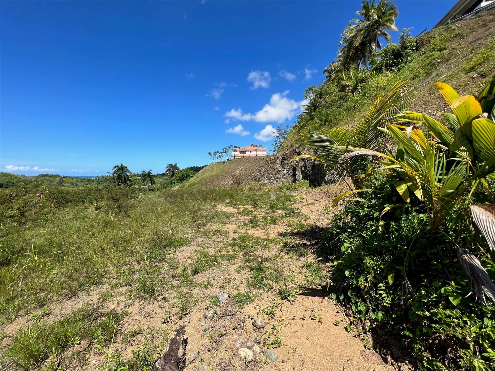 Calle Cofresi Lot 4 Property Photo 15