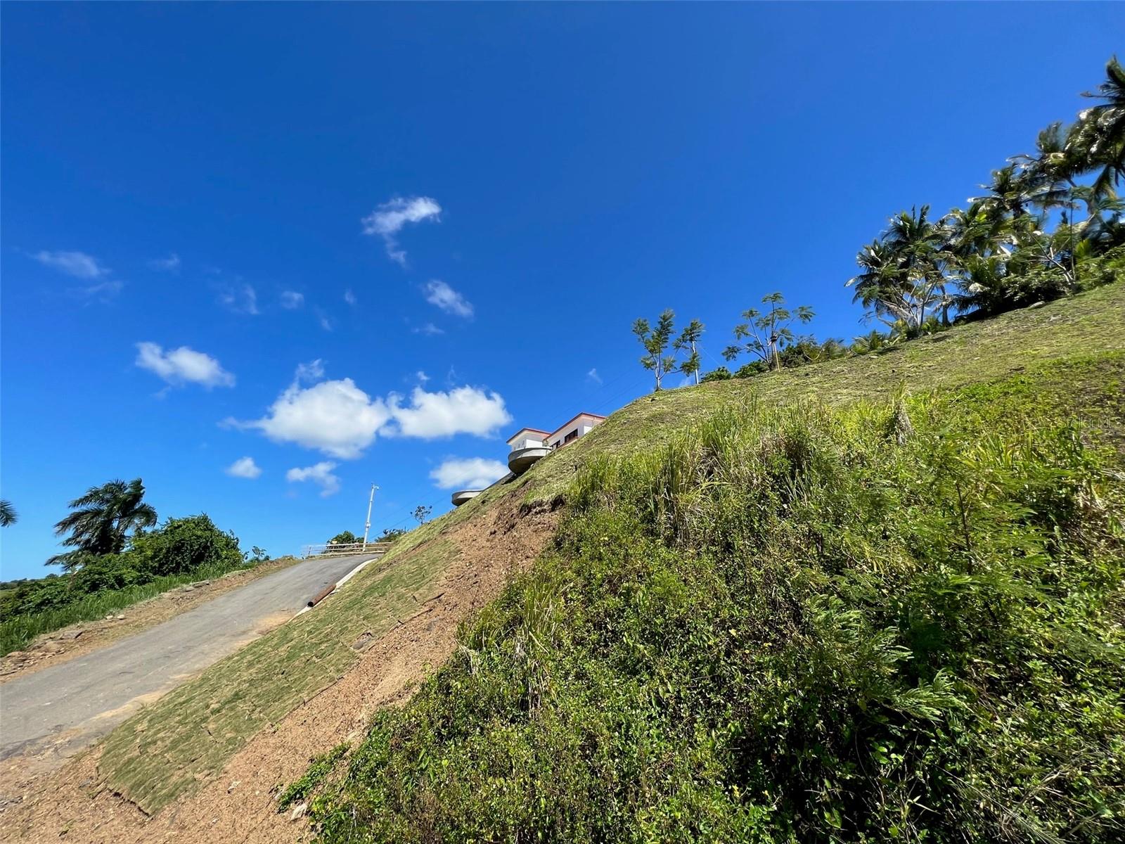 Calle Cofresi Lot 4 Property Photo 17