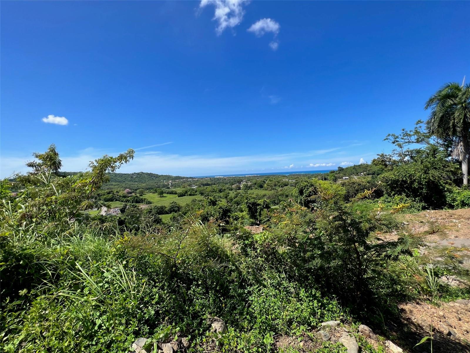 Calle Cofresi Lot 4 Property Photo 18