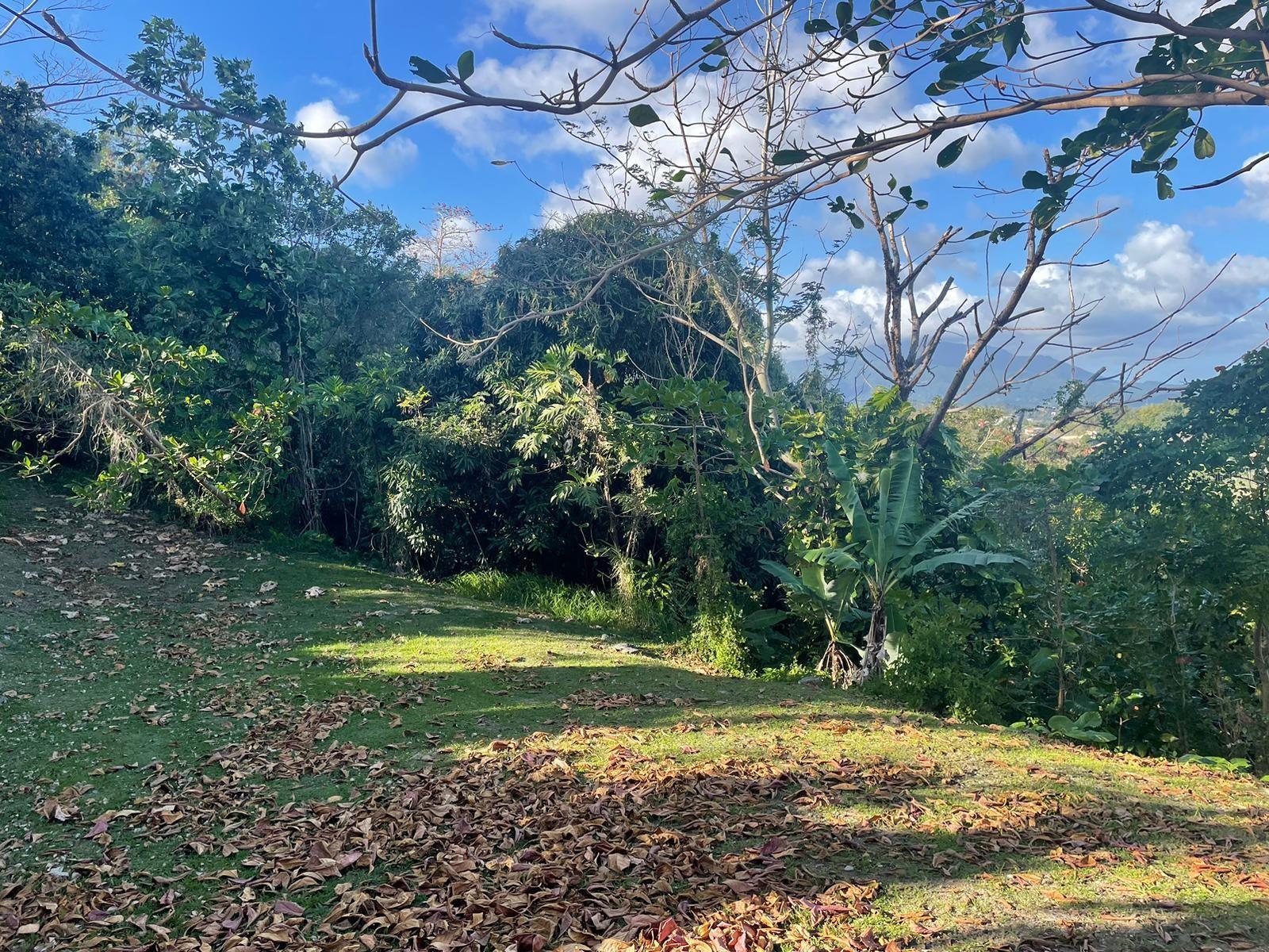 Bo. Collores Calle 924 Property Photo 1
