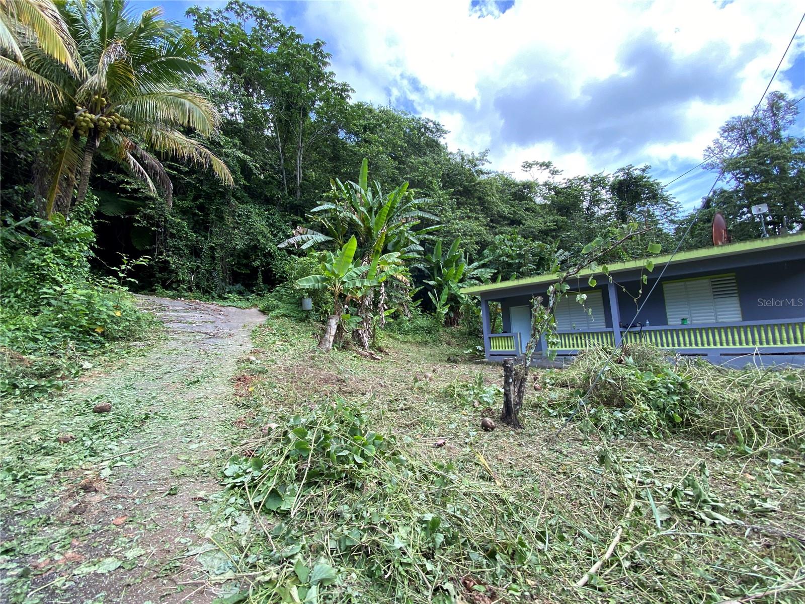 Sr-105 Km 30 Sector Oramas Bo Bucarabones Property Photo 44