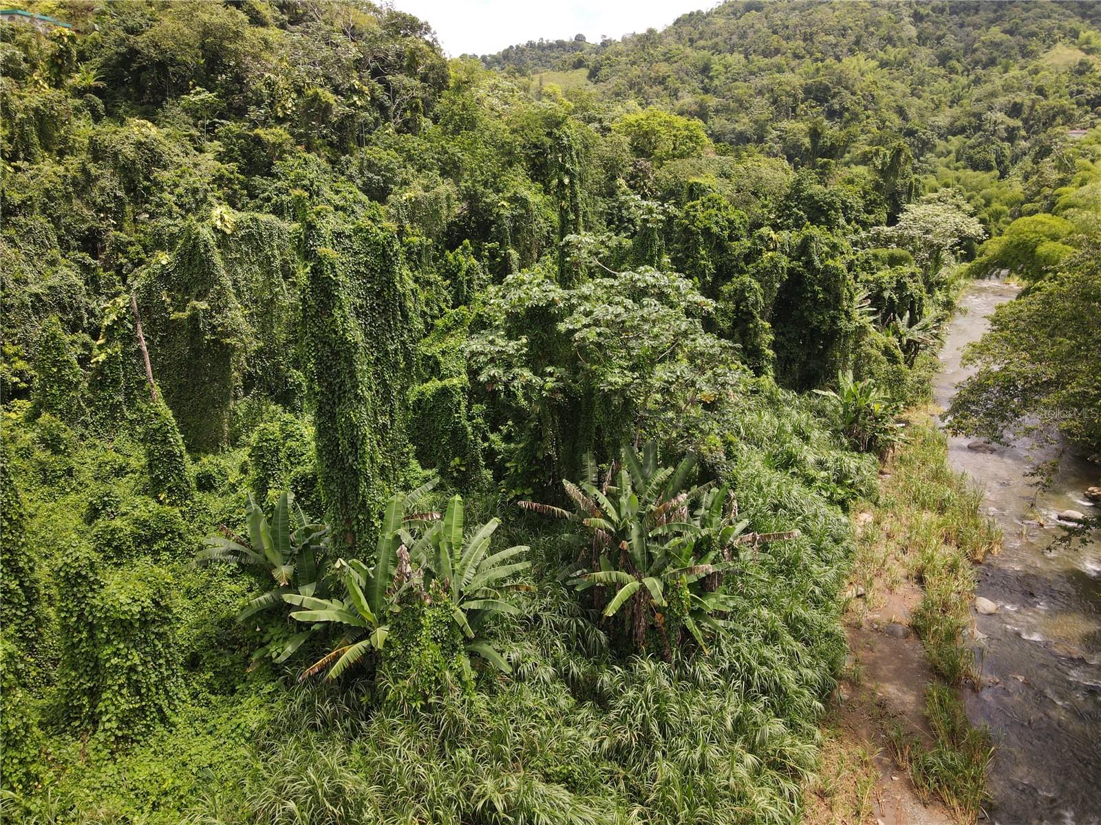 Sr-105 Km 30 Sector Oramas Bo Bucarabones Property Photo 49