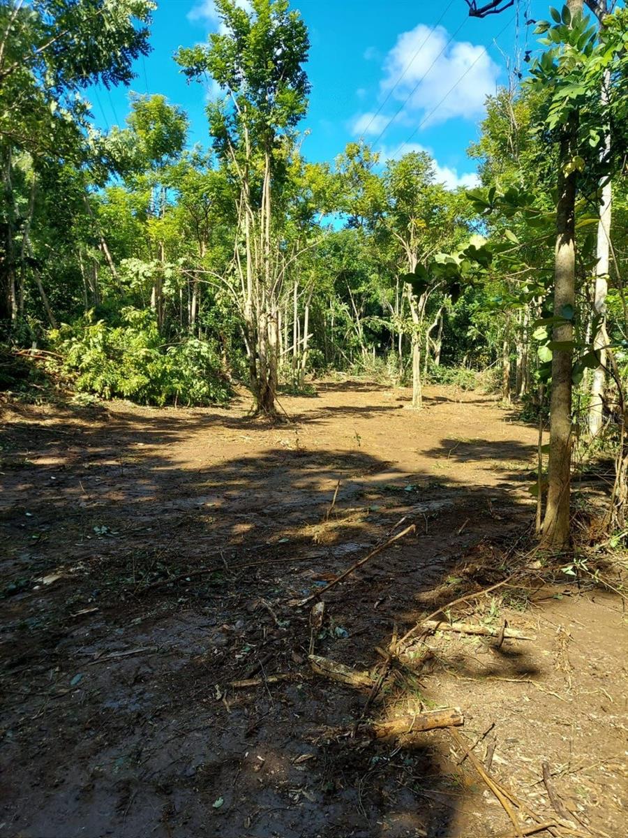 Bo. Bajuras State Road Pr-667 Property Photo 2