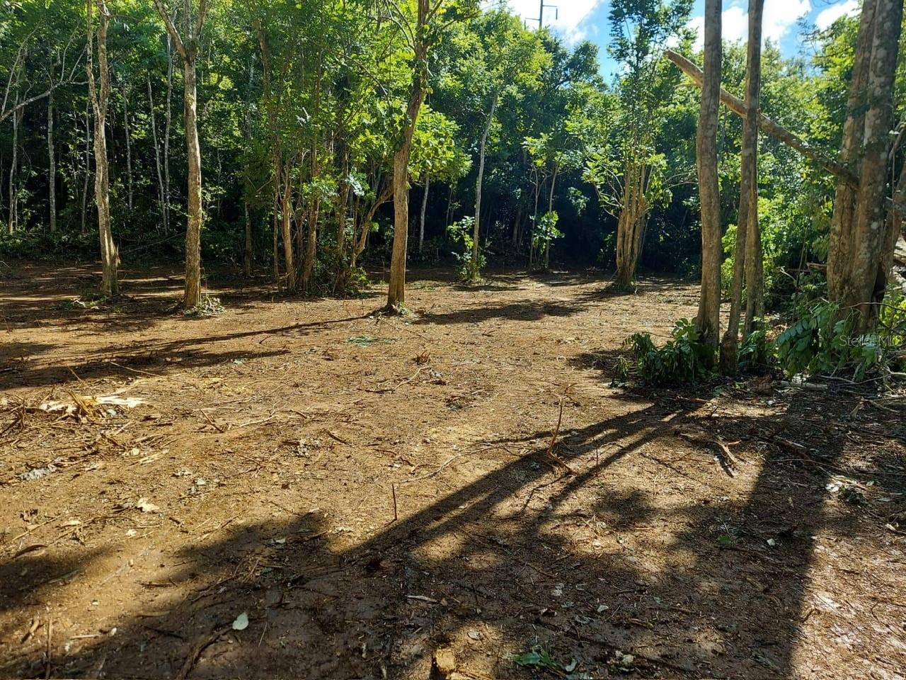 Bo. Bajuras State Road Pr-667 Property Photo 4