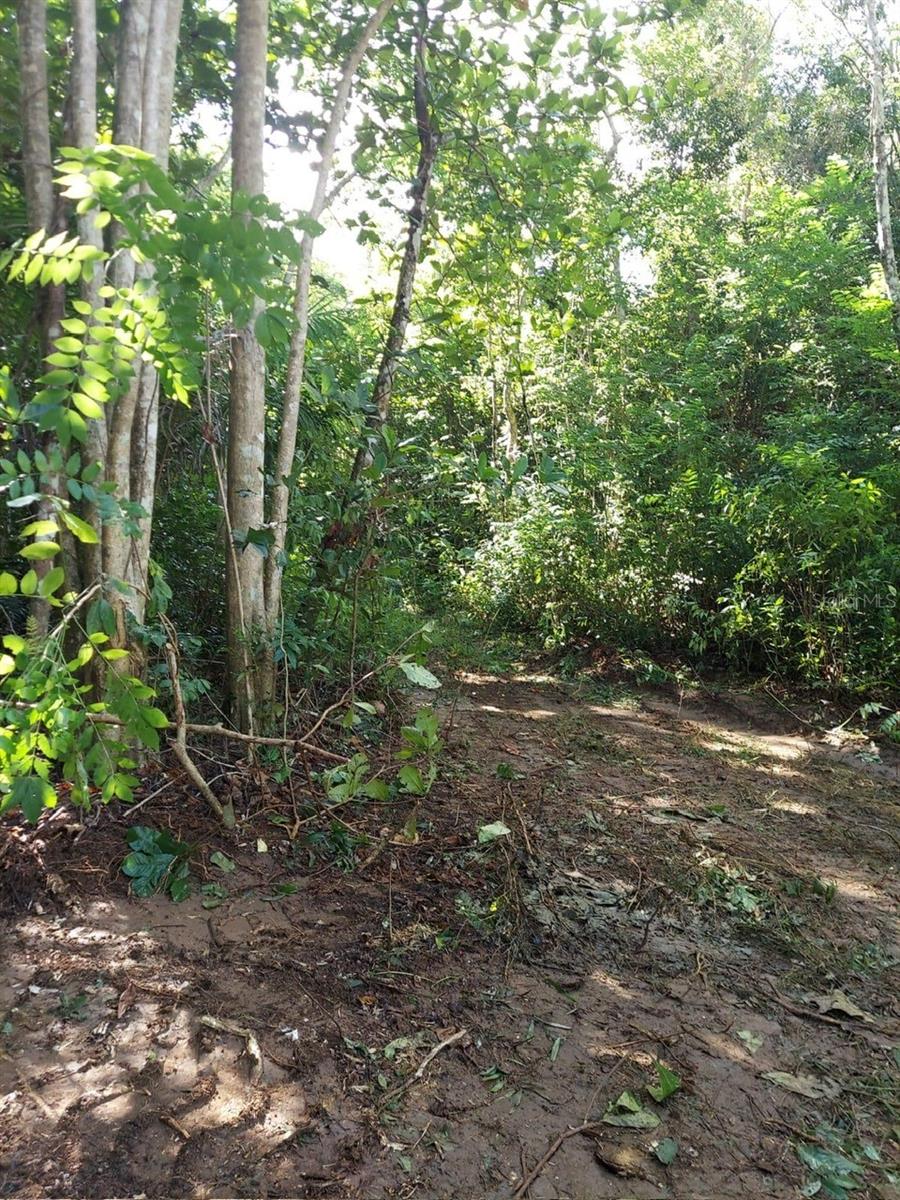 Bo. Bajuras State Road Pr-667 Property Photo 7