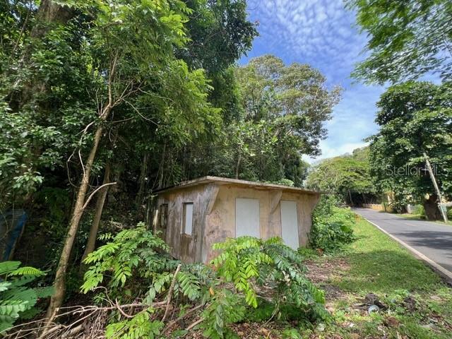 Bo. Bajuras State Road Pr-667 Property Photo 11