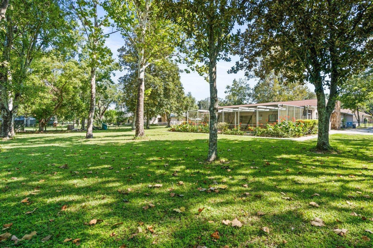 12444 Coronado Dr Property Photo 35