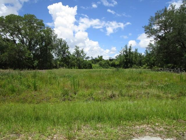 211 Starling Ct Property Photo 1