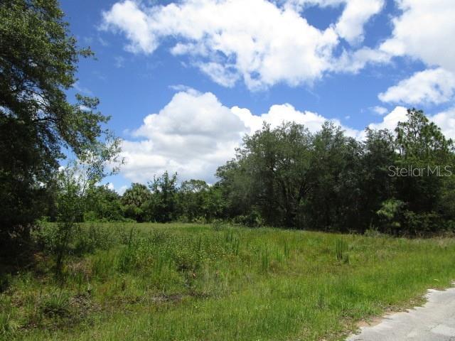 211 Starling Ct Property Photo 2