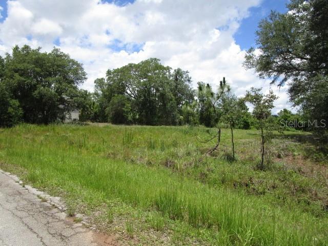 211 Starling Ct Property Photo 3