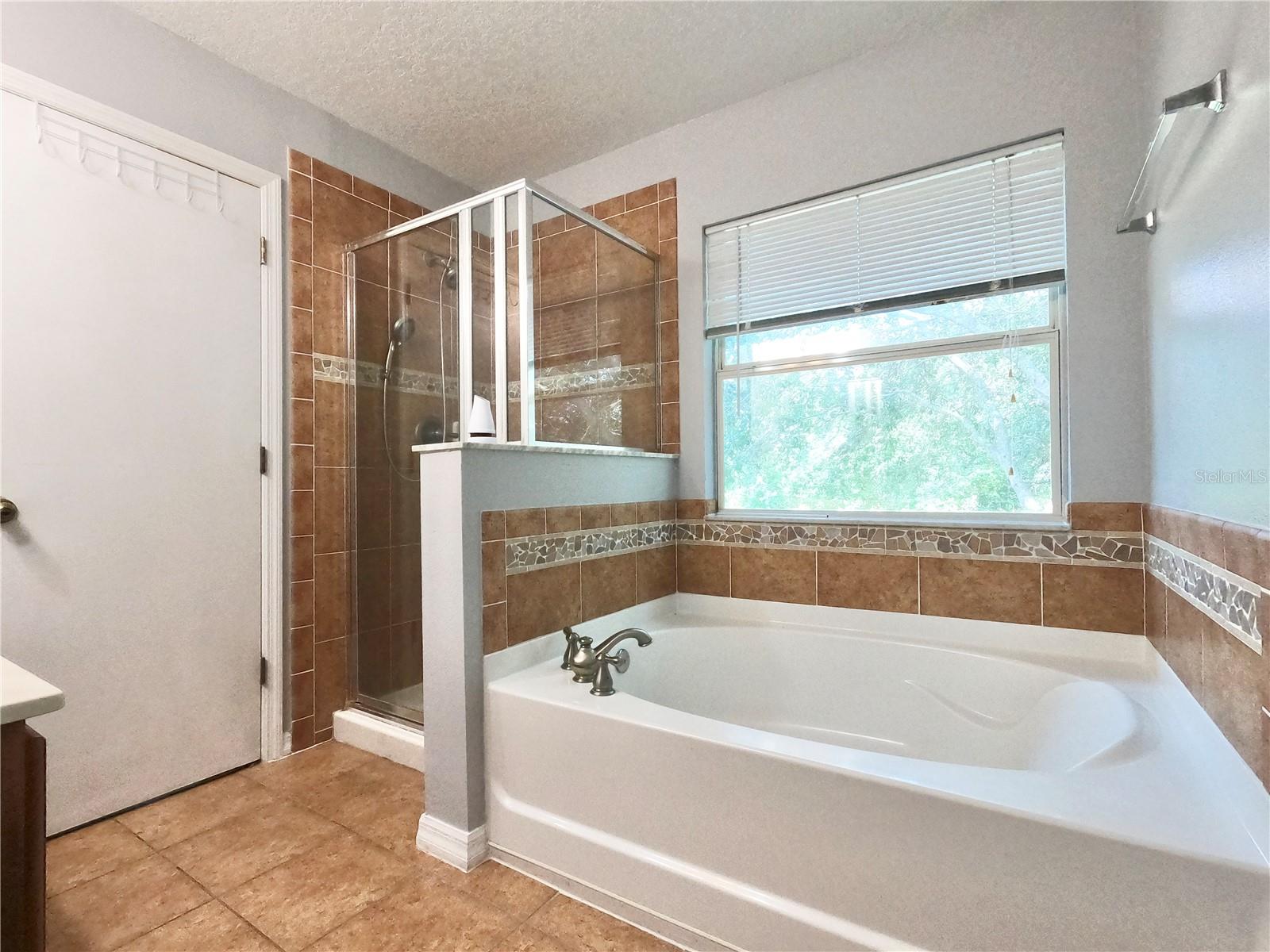 2581 Aventurine St Property Photo 10