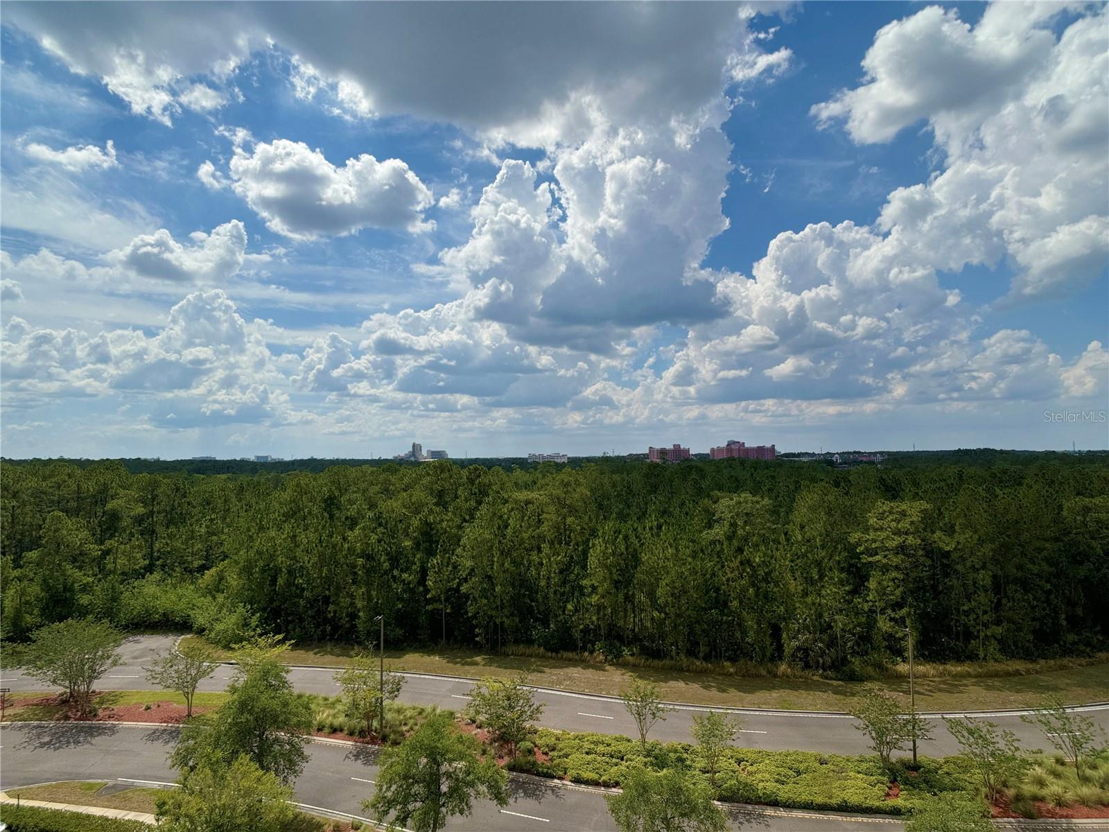 8125 Resort Village Dr #5705 Property Photo 18