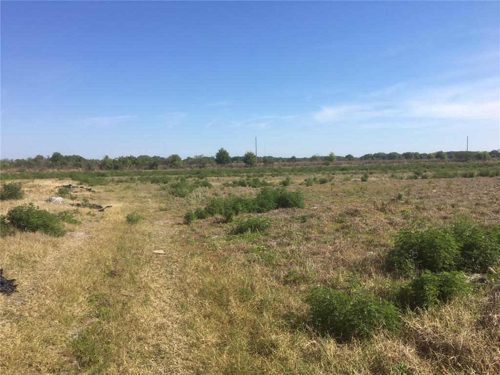 15421 Balm Wimauma Rd Property Photo 2
