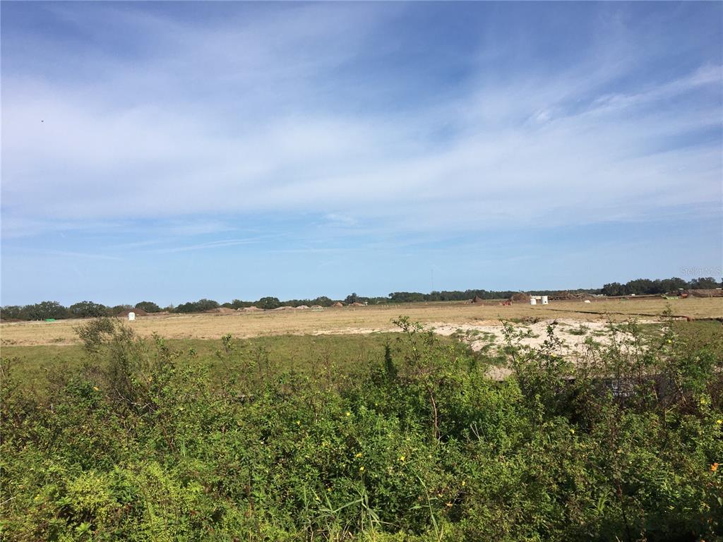15421 Balm Wimauma Rd Property Photo 8