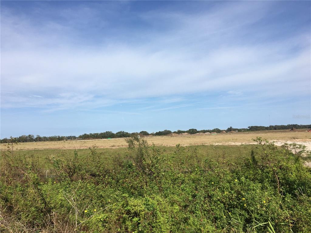 15421 Balm Wimauma Rd Property Photo 12