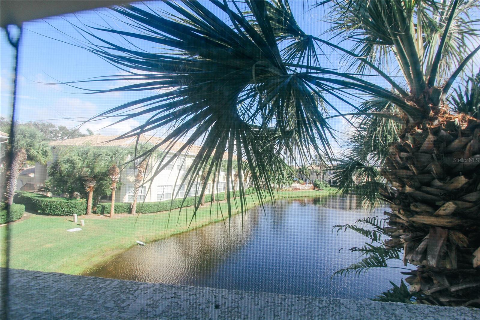 1708 Triano Cir #1708 Property Photo 41